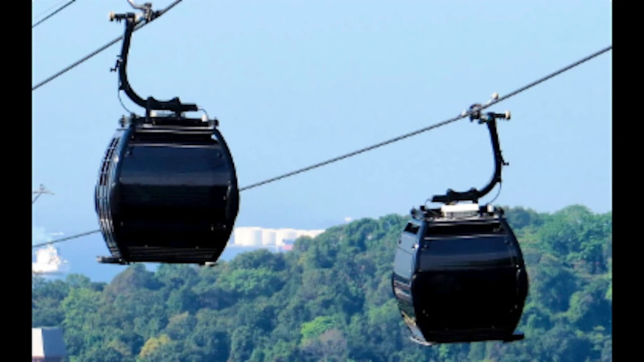 Singapore Cable Car Sky Pass + Set Meal or Cake at Arbora